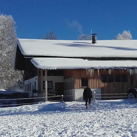 Rossbrand By Interhome Radstadt